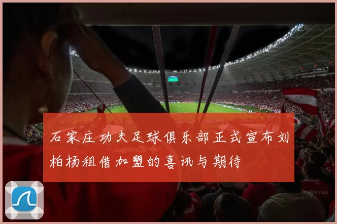 石家庄功夫足球俱乐部正式宣布刘柏杨租借加盟的喜讯与期待