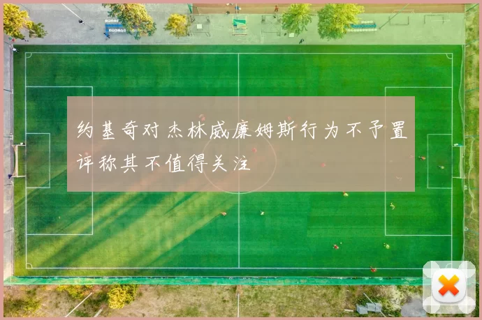 约基奇对杰林威廉姆斯行为不予置评称其不值得关注